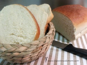 pan de molde