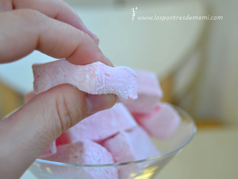 nubes con thermomix